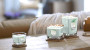 213060442652679__0010_ELEVATION COLLECTION_CORE AW18_SHORE BREEZE_LANDSCAPE_1