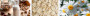 281943128145937_OAT FLOWER NUDLE