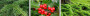 236309100626111_WINTER GARLAND