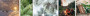 236309100626115_MOUNTAIN TRAIL